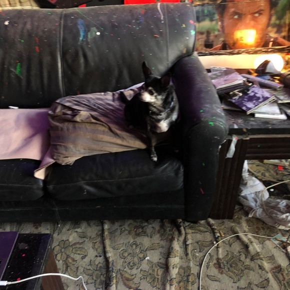 ART - Picture 10 of 16